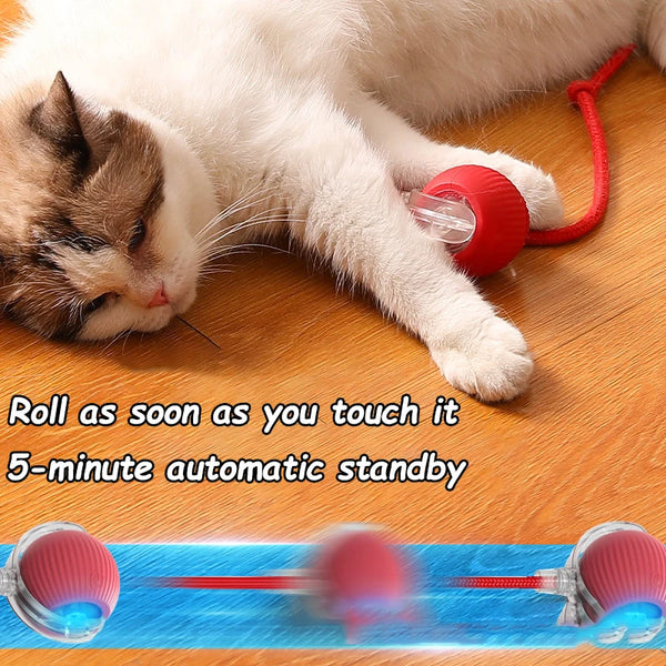 Smart Cat Play Ball