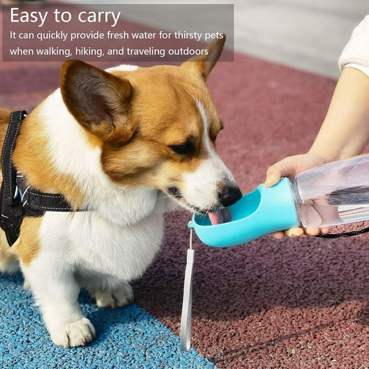Leak-Proof Pet Water Bottle